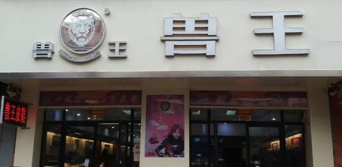 兽王鞋业