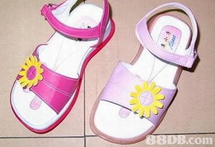 2019年香港宠物X光价格及商户联系资讯解析