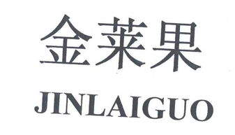 金苹果鞋业天眼查查询结果 企业背景与鞋业市场分析